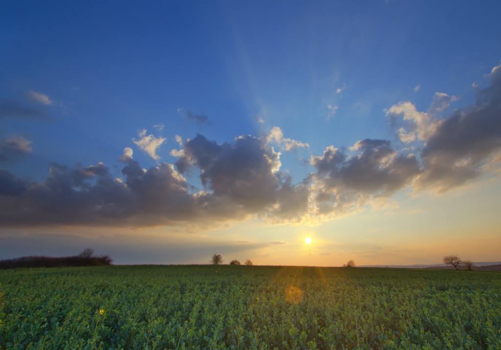 Sonnenuntergang 25.03.2014