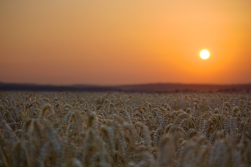 Sonnenuntergang 25.07.2012