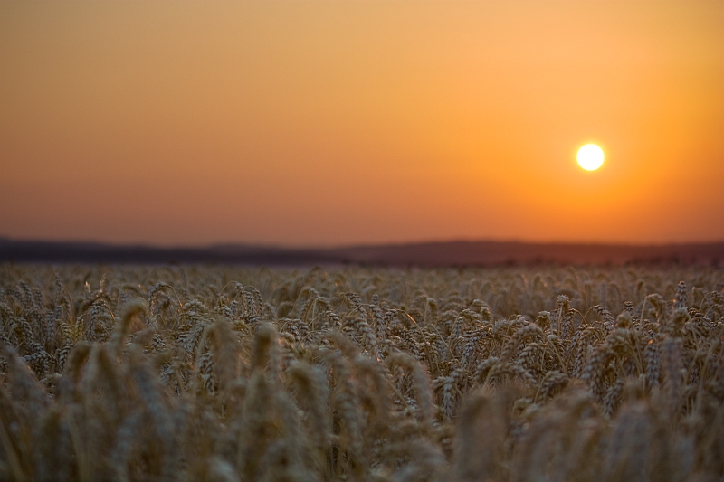 Sonnenuntergang 25.07.2012