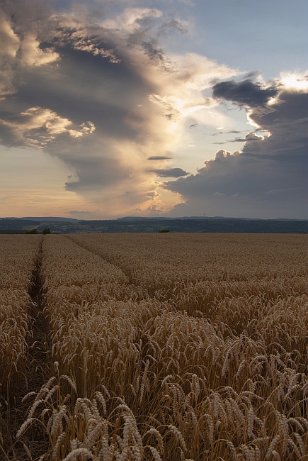 Sonnenuntergang 28.07.2010