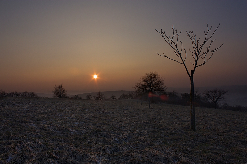 Sonnenuntergang 30.01.2011