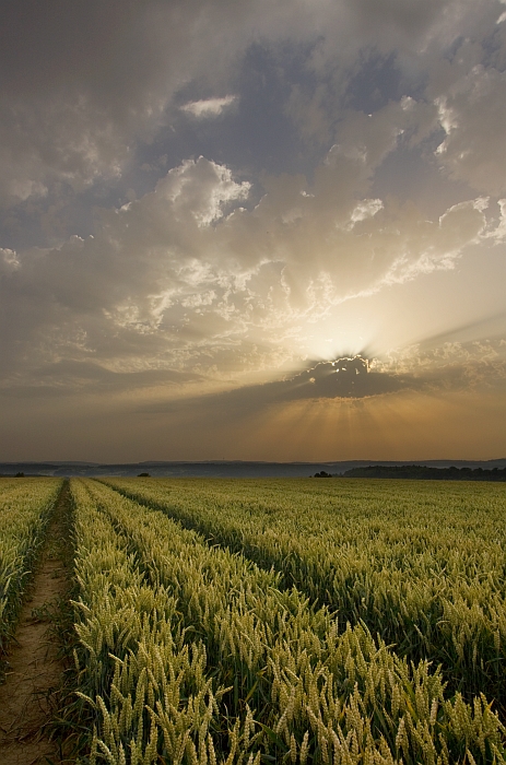 Sonnenuntergang 30.06.2012