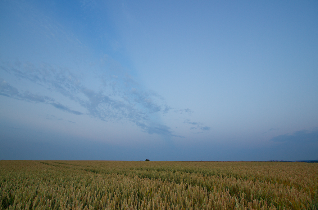 Gegendmmerungsstrahl | 02.07.2015