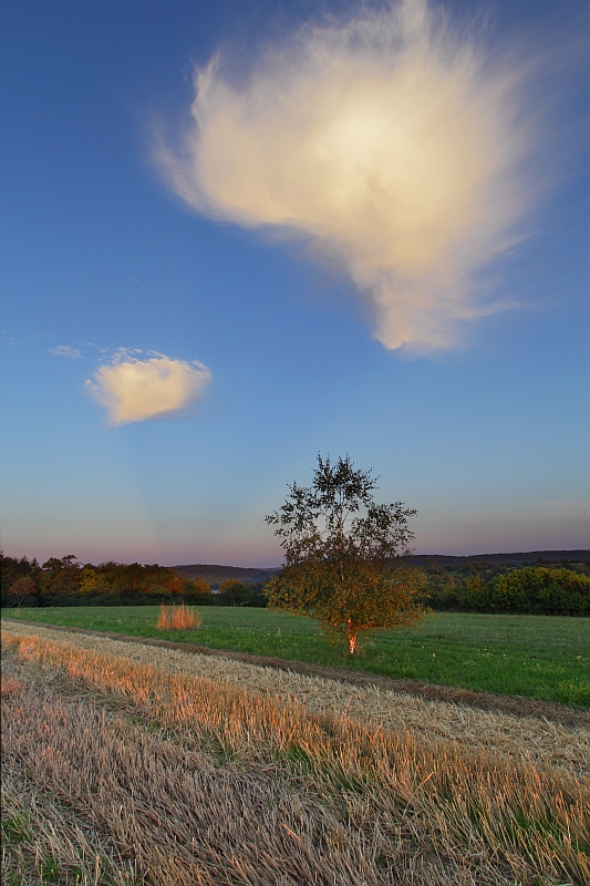 Gegendmmerungsstrahlen 16.08.2013