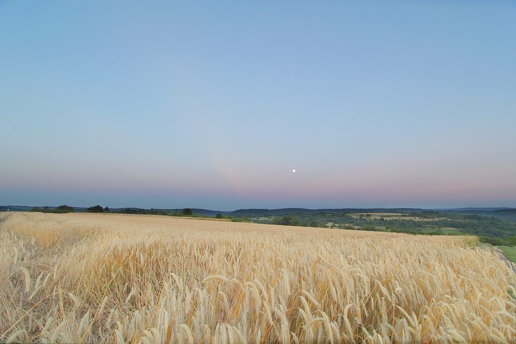 Gegendmmerungsstrahlen 21.07.2013