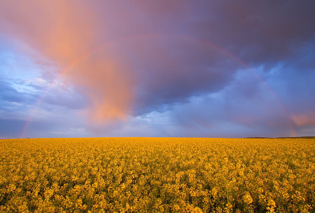 Roter Regenbogen 14.04.2014