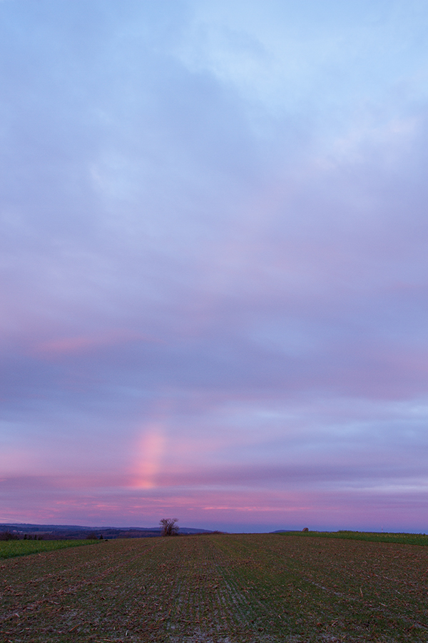 roter Regenbogen | 25.01.2018