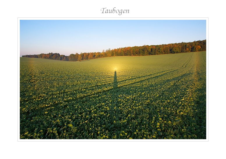 Taubogen und Heiligenschein 02.10.2011