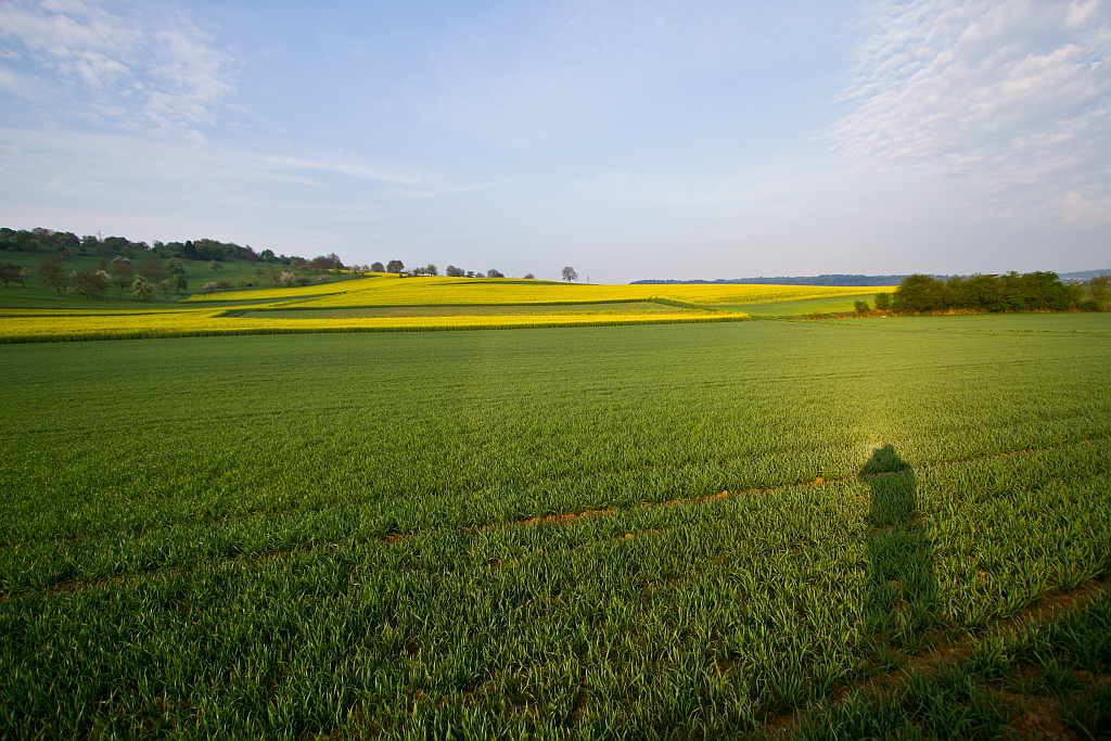 Taubogen 12.04.2014