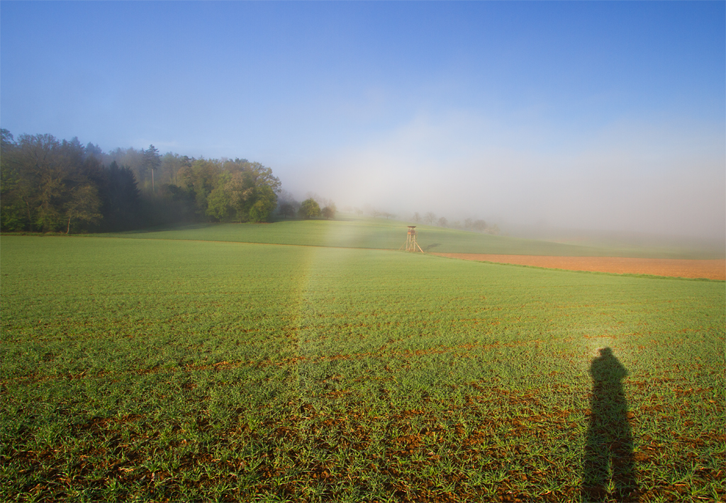 Taubogen und Nebelbogen | 26.04.2015