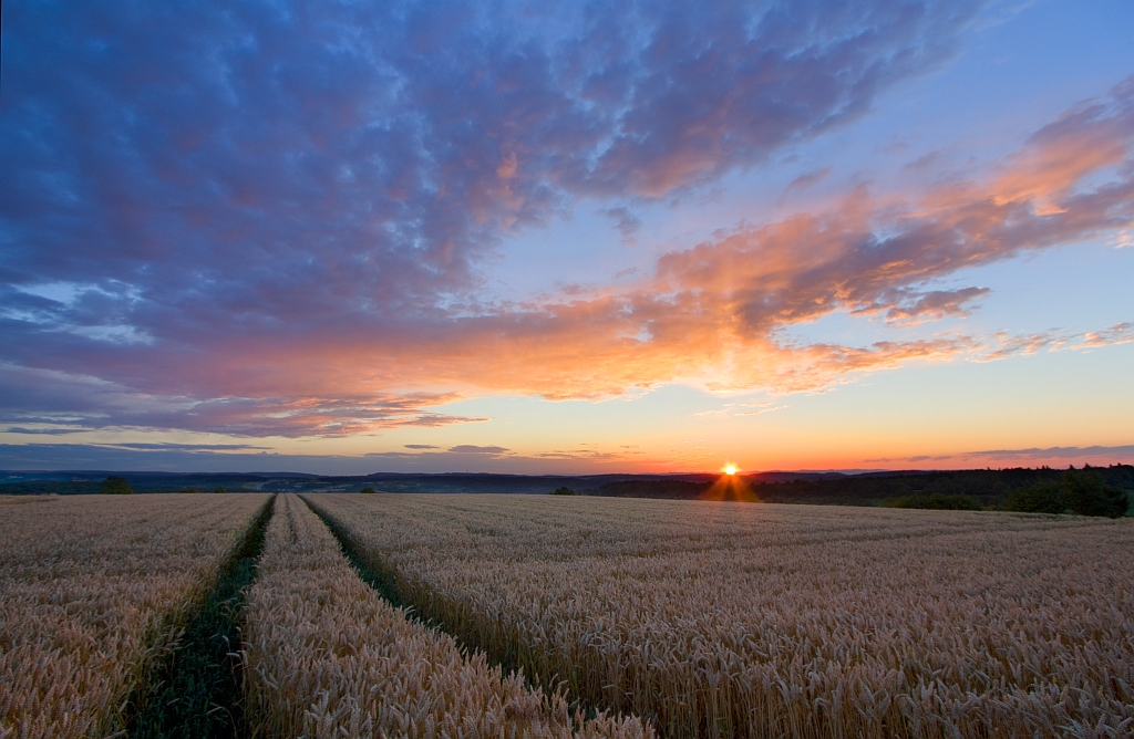 obere Lichtsule 07.07.2012