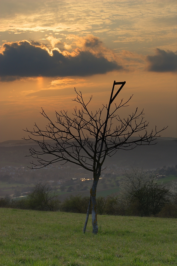 untere Lichtsule | 04.04.2012