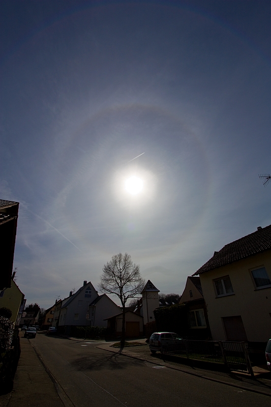 22 Ring 16.03.2013