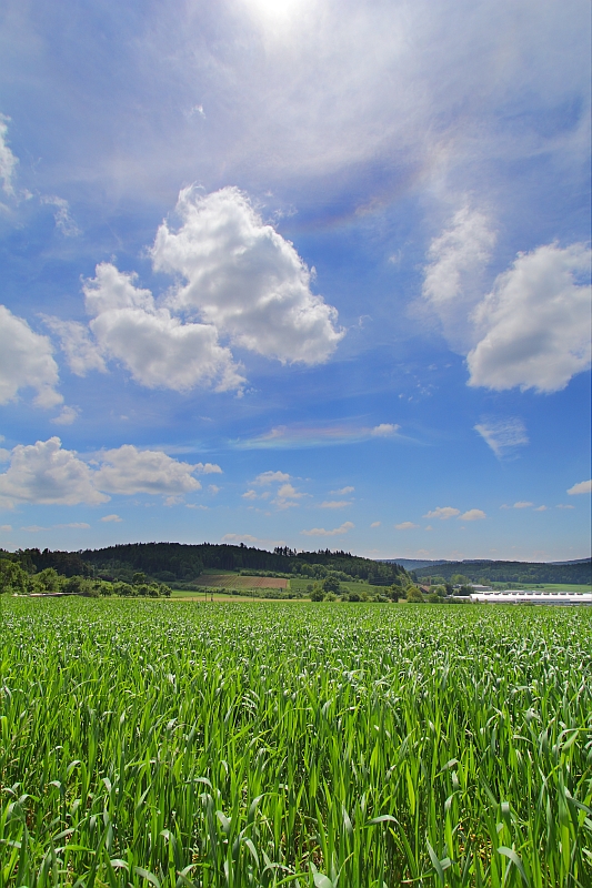 Zirkumhorizontalbogen 05.06.2013