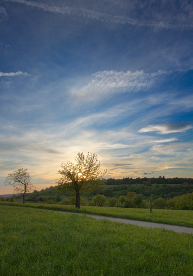 oberer Berhrungsbogen 22.04.2014