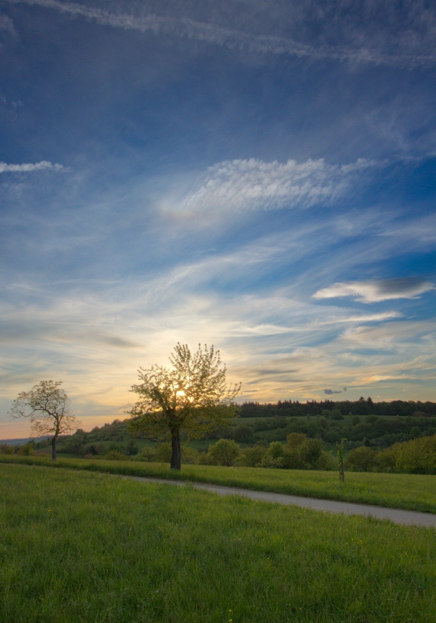 oberer Berhrungsbogen 22.04.2014