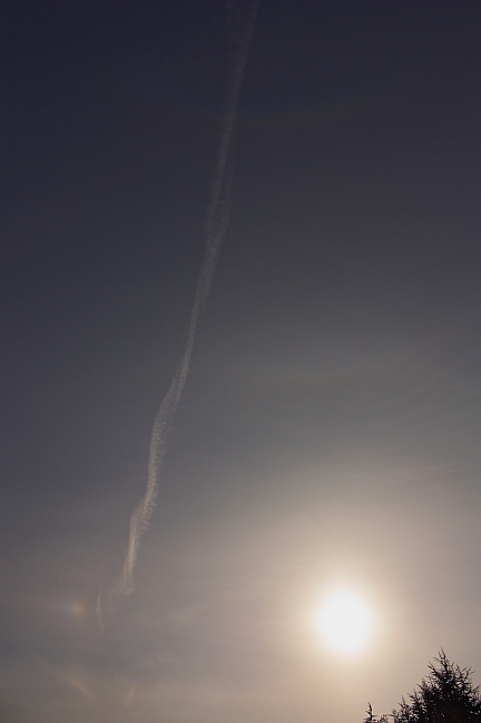 Nebensonne, Zirkumzenitalbogen und oberer Berhrungsbogen 20.11.2010