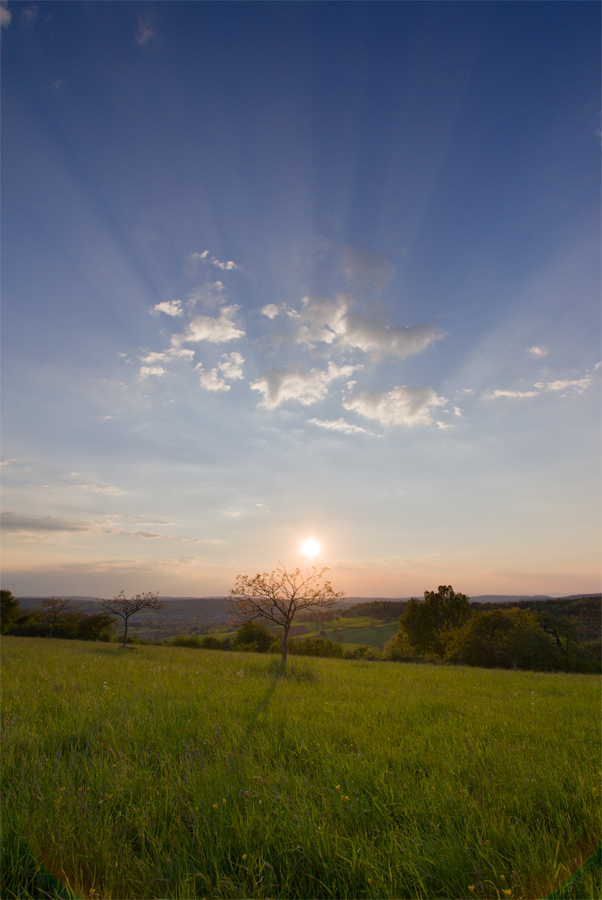 Crepuscularstrahlen | 07.05.2016