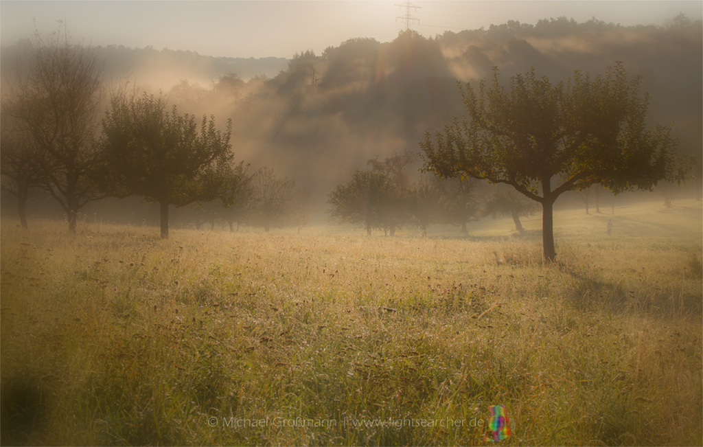 Schattenwrfe im Nebel | 15.10.2017