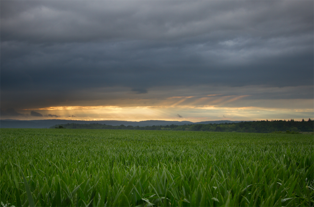 gespiegelte Crepuscularstrahlen | 25.05.2015