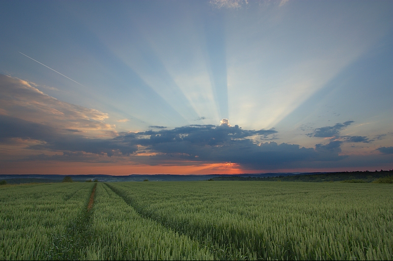 Crepuscularstrahlen 28.05.2012