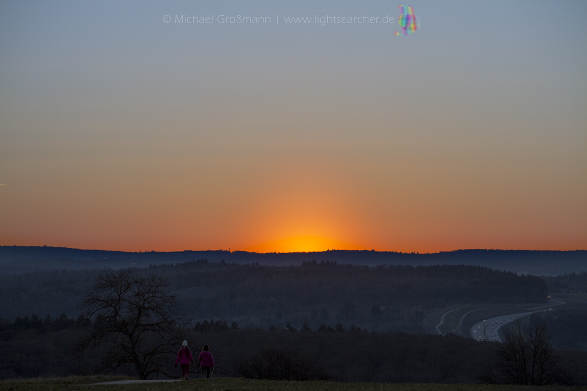 Pollenkorona | 24.02.2019