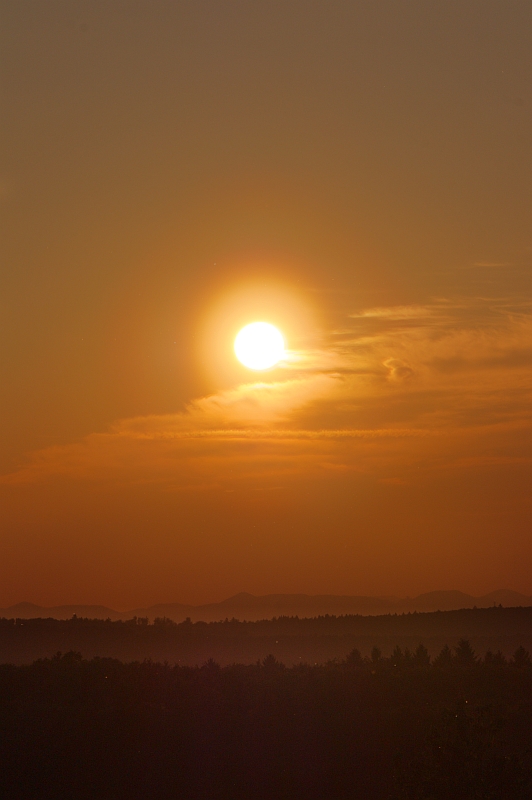 Pollenkorona 27.05.2013