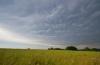 Cumulus Mammatus 11.06.2014