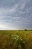 Cumulus_Mammatus 11.06.2014