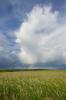 Cumulonimbus 13.05.2014