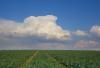 Cumulus congestus 25.03.2014