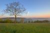 Nebelstimmung | 04.05.2016