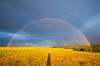 Regenbogen 29.06.2014