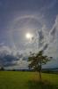 22° Ring 05.08.2012