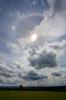 22° Ring, umschriebener Halo und Sonnenkranz 13.07.2012