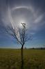 22 Ring und umchriebener Halo 02.04.2012